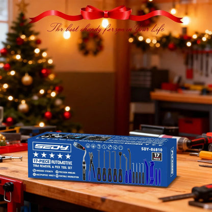 SEDY 18-Piece Auto Trim & Pick Tool Kit with LED Pickup